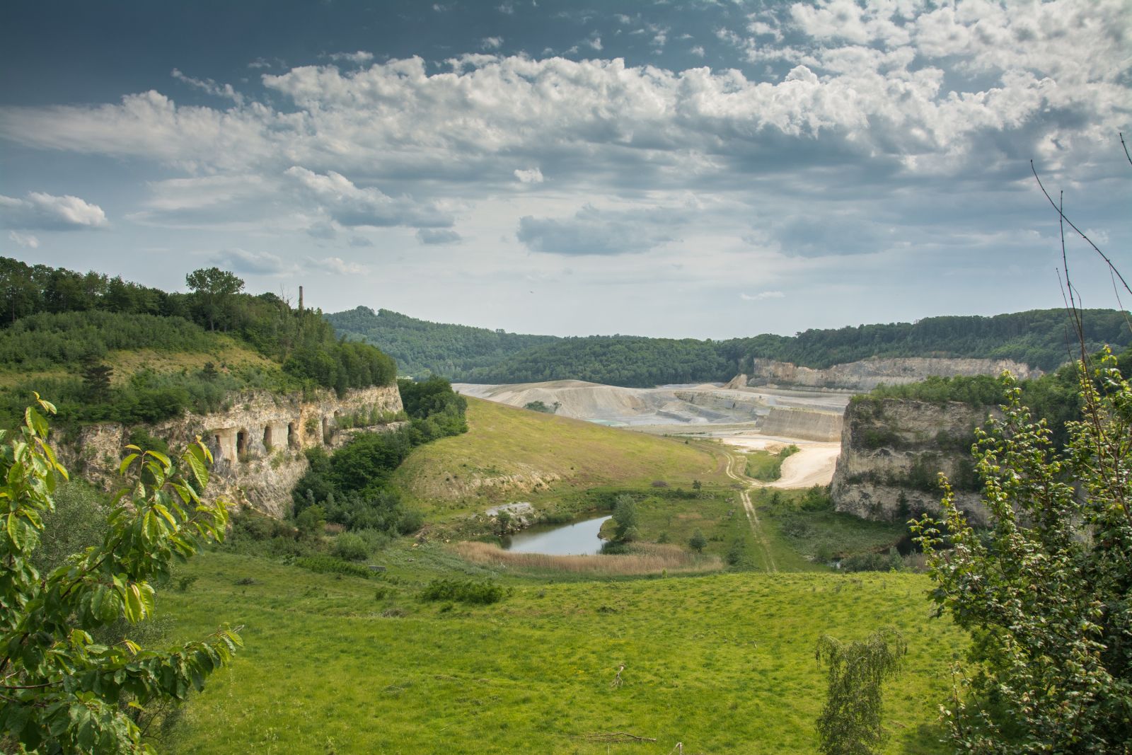 Natuurmonumenten Sint-Pietersberg Oehoe Vallei.jpg